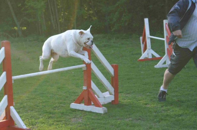 agility 2011-04